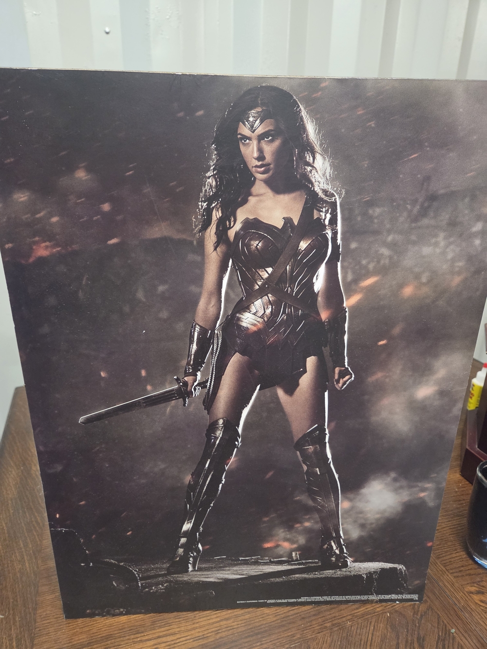 Warner Bros. Wonder Woman Gal Gadot Poster - Bronze and Black Tones